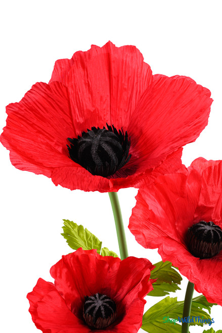 Close-up of ShopWildThings.com Oversized Large Silk Poppy Bloom showing bold red petals, realistic black center, and natural-looking green foliage.