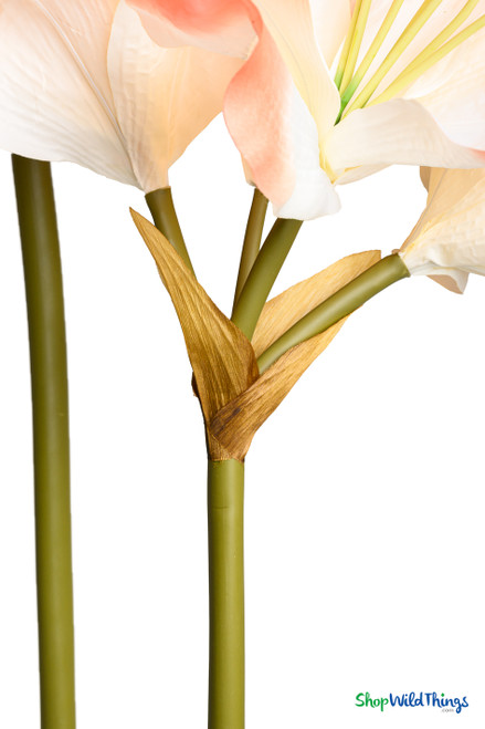 ShopWildThings.com 50" Silk Oversized Clivia Bloom stem and leaf base in realistic green and brown tones, adding authenticity to this tall artificial flower arrangement.