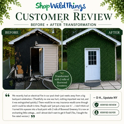 Fire-damaged shed transformed with boxwood greenery wall rolls from ShopWildThings.com