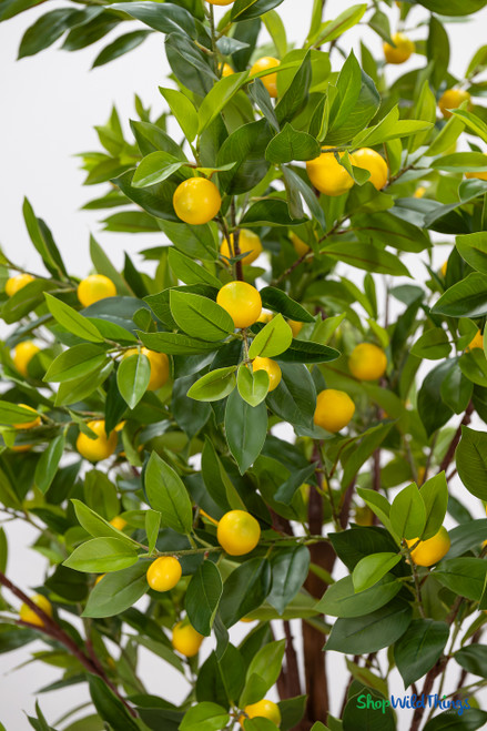 Detailed view of faux lemon fruit and green foliage on decorative artificial citrus tree branch – ShopWildThings event decor