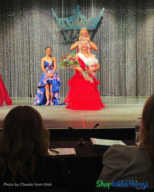 Extra Long Sparkling Beaded Curtain Stage Backdrop – Glam Pageant Decor by ShopWildThings.com
Diamonds Iridescent Beaded Curtains