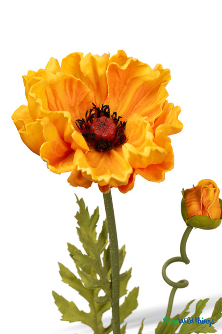 Close-up of Real Feel yellow orange poppy bloom with layered petals and detailed center, showcasing lifelike texture and warm sunset tones