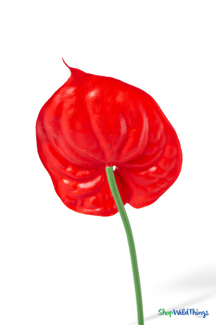Back view of Real Feel Red Anthurium artificial tropical flower showing the curved green stem and glossy red 6 inch bloom with realistic molded detail