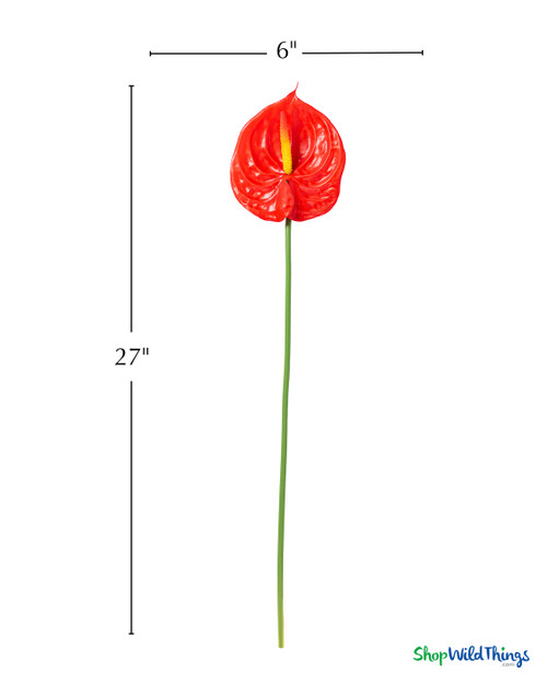 Real Feel Red Anthurium Tropical Stem measurement image showing 27 inch height and 6 inch wide red bloom for floral arrangements and event decor