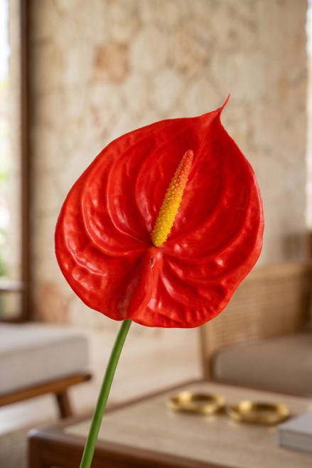 Detailed editorial close-up of Real Feel Red Anthurium artificial flower with glossy red real-touch bloom and yellow spadix in a warm tropical interior