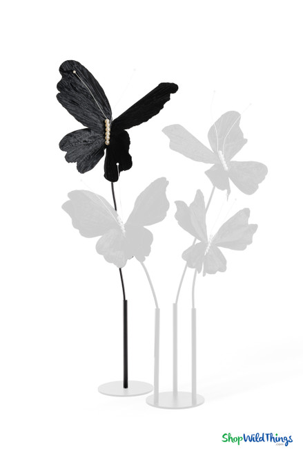 Giant Oversized Velvet Butterfly, Black 32" x 32" for events, props | ShopWildThings.com