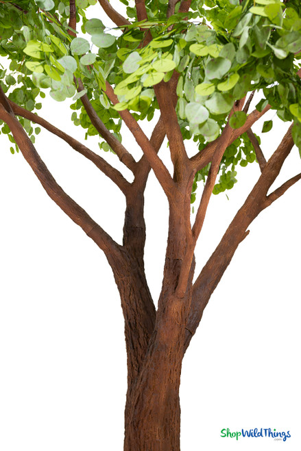 Detailed view of Sylvie’s thick realistic trunk and natural asymmetric structural branches beneath the eucalyptus canopy – ShopWildThings.com