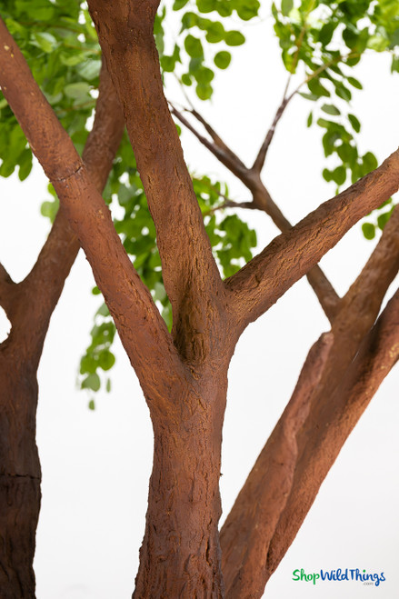 Close-up of the realistic bark texture and branching detail on the Sylvie 12-foot faux eucalyptus tree – ShopWildThings.com