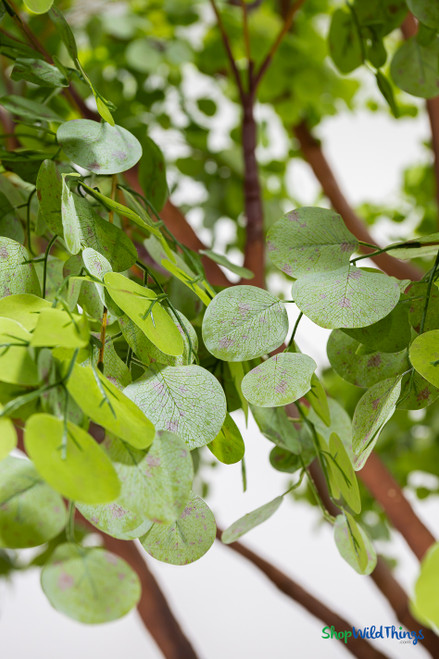 Lifelike green eucalyptus leaves with delicate purple-toned detailing on the Sylvie artificial tree – ShopWildThings.com