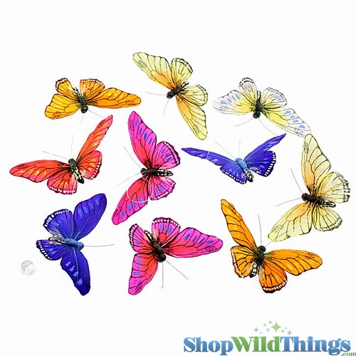 Colorful Butterfly Garlands made with Feathers Hang from Ceiling and Trees ShopWildThings.com