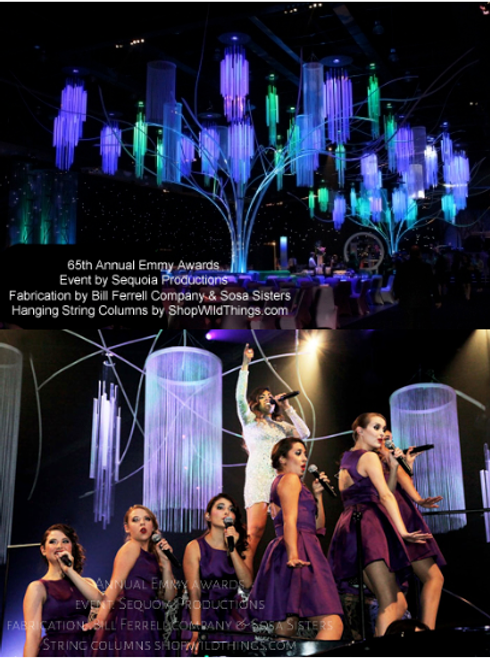 Custom String Curtains for Weddings, Events, Stage Shows and Productions by ShopWildThings.com