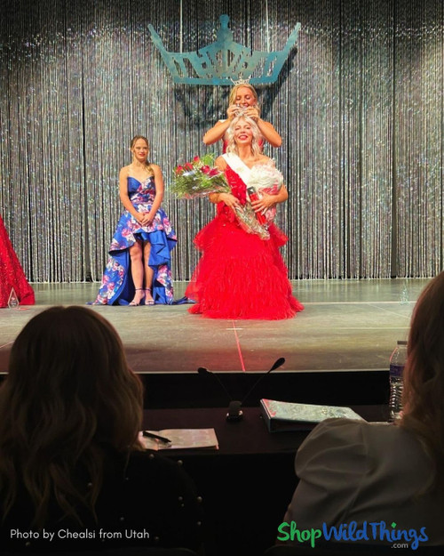 Extra Long Sparkling Beaded Curtain Stage Backdrop – Glam Pageant Decor by ShopWildThings.com
Diamonds Iridescent Beaded Curtains