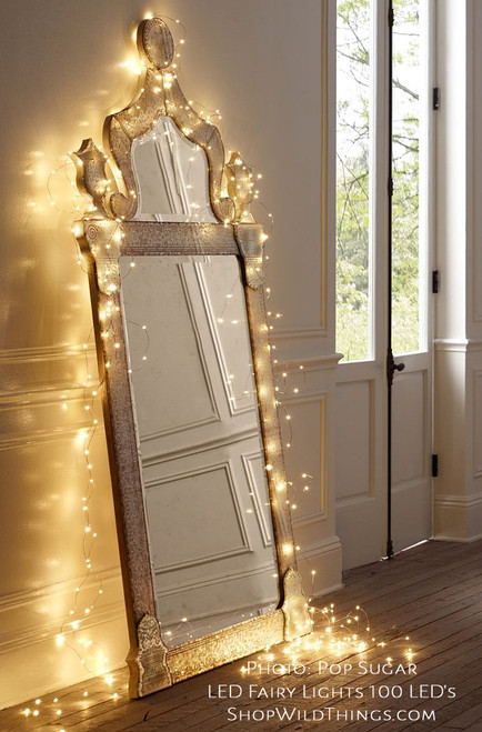 LED Warm White Lights on Thin Flexible Wire for Home, Weddings and Events | ShopWildThings.com