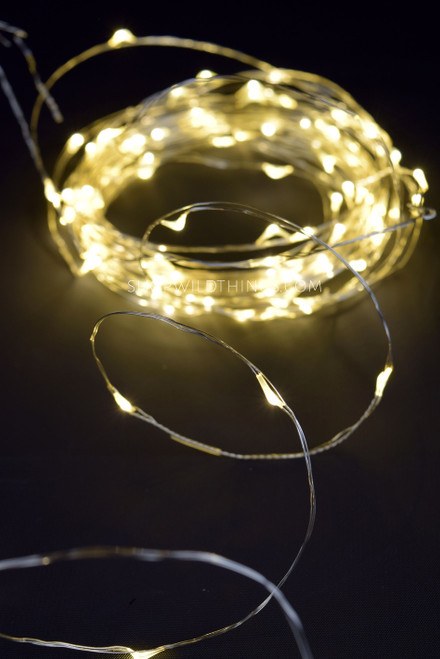 LED Fairy Lights 32 Foot Plug-In with 100 Warm White Lights | ShopWildThings.com