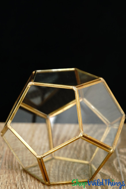 Geometric Pentagon Terrarium & Candle Holder - Gold - 4 3/4"