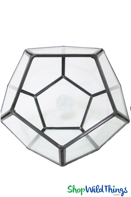 Geometric Tabletop Terrarium & Candle Holder - Black 5 1/2" Tall Pentagon | ShopWildThings