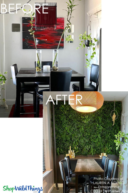Before and After Kitchen Remodel Photos with Greenery Landscape Backdrop Panels