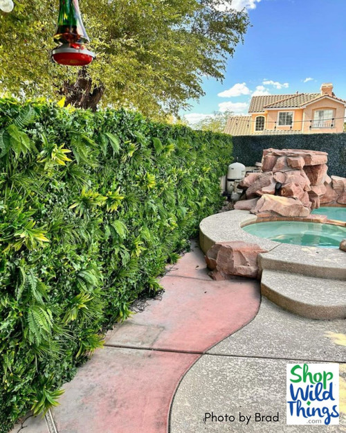 Poolside Paradise Transformed! Indoor/Outdoor Artificial Greenery Wall Panels by ShopWildThings.com are the easy, no-fuss way to turn your pool deck into a tropical oasis.  Mix and match styles for a totally customized look that's sure to wow. Shop now and enjoy the beauty of nature, hassle-free! 

Pool Patio Deck Makeover with a Faux Greenery Wall – Tropical Paradise Pool Ideas