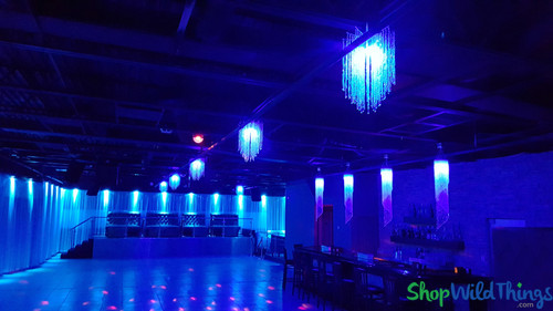 Change the Color of Clear Acrylic Beaded Chandeliers with the Touch of a Remote | ShopWildThings.com