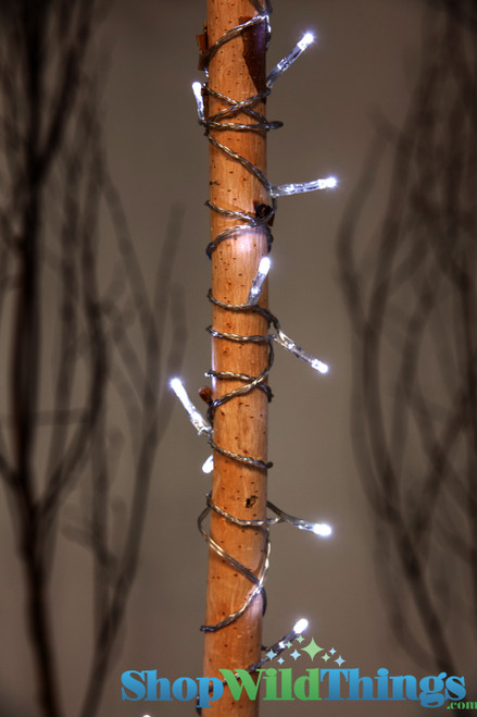 Fairy String Lights, 14Ft Long Strand Warm White, Battery Operated | ShopWildThings.com