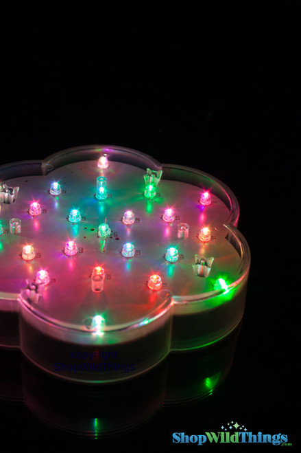 LED Color Changing Light Disc, Wedding and Event Accent Lighting | ShopWildThings.com