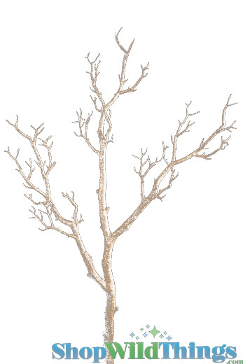 Manzanita Trees in a Wood Base Can Be Used Throughout the Year and Look Classy Bare or Decorated | ShopWildThings.com