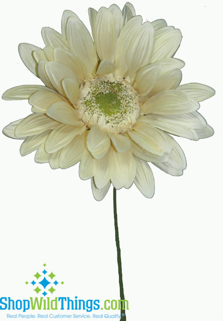 Find Colorful Oversized Daisies, Roses & Sunflowers for Photo and Party Fun at ShopWildThings.com