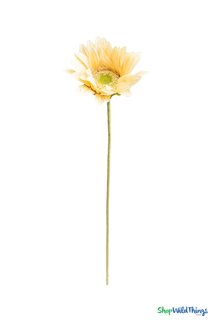 Honey Oversized Daisies, Roses & Sunflowers for Photo and Party Fun at ShopWildThings.com