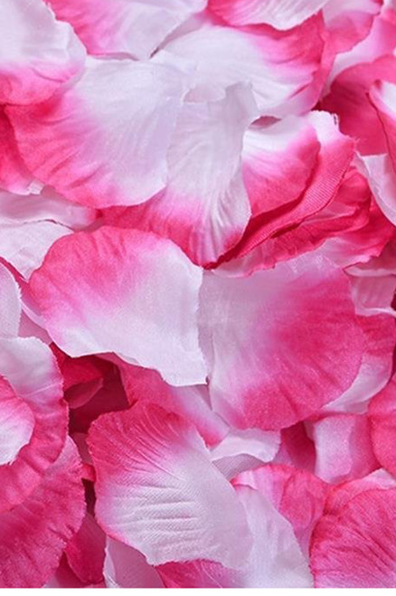Bag of 300 Fuchsia Pink & White Silk Rose Petals, Wedding Aisle or Table Scatter, ShopWildThings.com