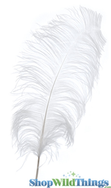 White Ostrich Feathers for Centerpiece Vases, Tall Fluffy Spads for Crafts & Costumes, Real Feathers by ShopWildThings.com
