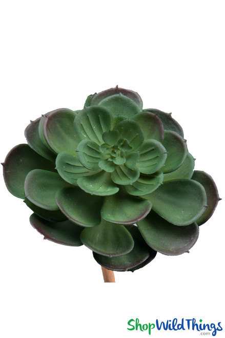 Artificial succulents | Faux succulent echeveria | ShopWildThings.com