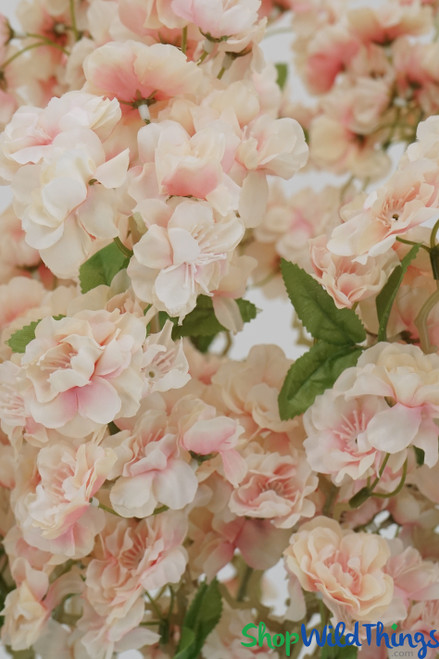 Cherry Blossom Branches Close-Up of Flowers ShopWildThings.com