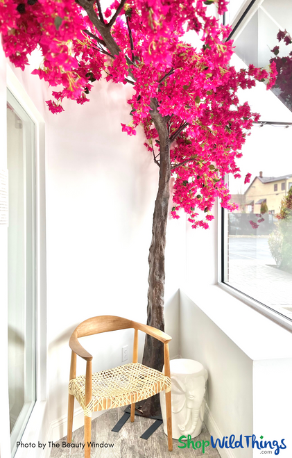 Our fabulous Fuchsia Pink "Sideswept" Tree makes that WOW moment for guests before they even step into the salon!

Available in several ready-to-go styles, or create your own tree with our Replacement Branch collection, the "Sideswept" trees are guaranteed wow moments for any location they are put!
Shop now at ShopWildThings.com to create that extra special moment in your salon and spa!

#enchantingdecor #pinktree #fuchsiatree #artificialfloweringtrees #fauxpinktrees
