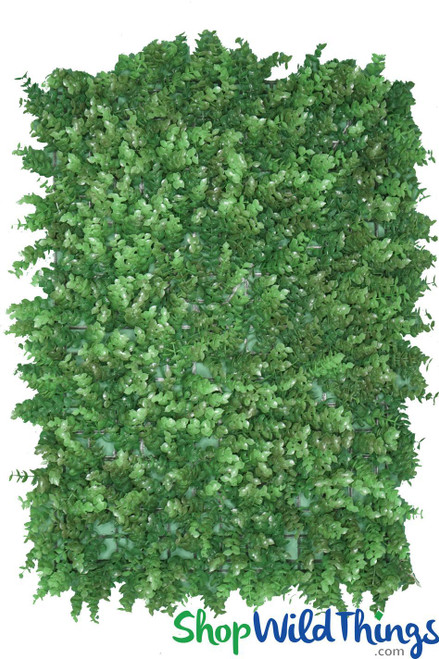 DIY Green Backdrop Kit, American Boxwood 8Ft x 8Ft Wall | ShopWildThings.com