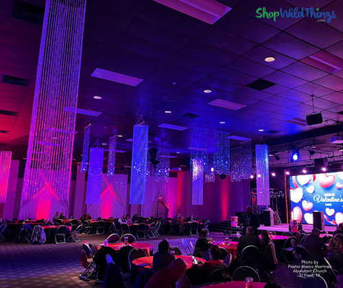 Silver Bubbles Beaded Curtains by ShopWildThings make great, easy to hang ceiling decor that provides just the right amount of sparkle!