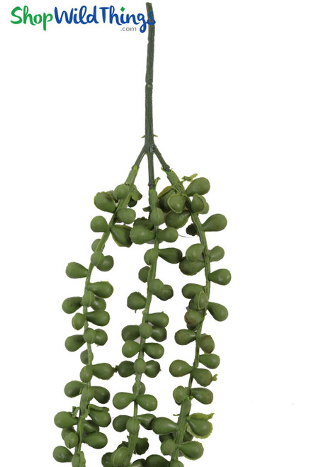Natural looking succulent vines | Plants for terrariums or centerpieces | Faux string of pearls | ShopWildThings.com