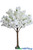 White Beautiful Fluffy Flowering Dogwood Tree Events Wedding Parties ShopWildThings.com #167079