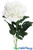 Long Stem Cream White Velvet Peony | Jumbo Artificial Flowers| Wedding & Event Flowers | ShopWildThings.com
