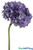 Artificial Purple Silk Hydrangea Sprays, Faux Lavender Flowers for Bouquets & Centerpieces | ShopWildThings.com