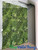 Dream Meadow Tropical Greenery Wall with Assorted Plants Extra Thick ShopWildThings.com