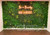 Office Wall Design Redecorating Idea Greenery Living Plant Wall ShopWildThings.com