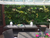 Create a Backyard Oasis Hideaway with ShopWildThings Greenery Wall Panels
