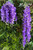 Draping Long Wisteria Garlands side by side comparision ShopWildThings.com