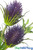 Purple Thistle Spray Artificial Boho Bohemian Floral Design ShopWildThings.com