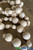 Wooden Beads Indoors on Table Garlands ShopWildThings.com