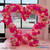 8' x 8'  Sturdy Heart Backdrop Gold Wedding Hearts Arch ShopWildThings Balloon and Floral Stand for Valentine's Day and Proposals