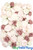 Dusty Rose Mauve Cream Light Pastel Roses Peony Flower Wall Ultra Luxury High Quality Floral Backdrops ShopWildThings.com