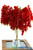 Red Draping Garland Pick of Flowers for Ceilings Displays and Floral Centerpieces ShopWildThings