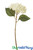 Silk Cream Hydrangea ShopWildThings.com