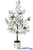 White Small Flowering Tree for Wedding Centerpiece Tabletops